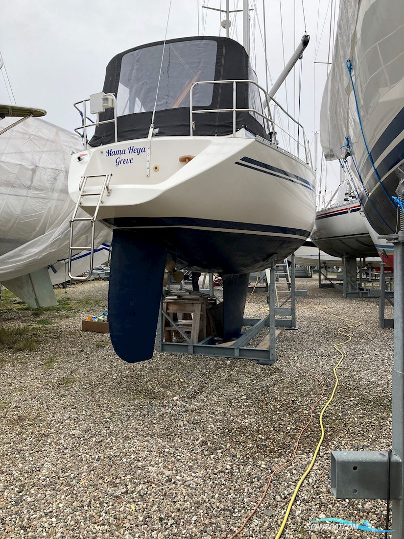 Bavanca 320 / Bianca 320