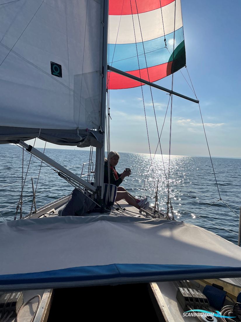 Bavanca 320/Bianca 320