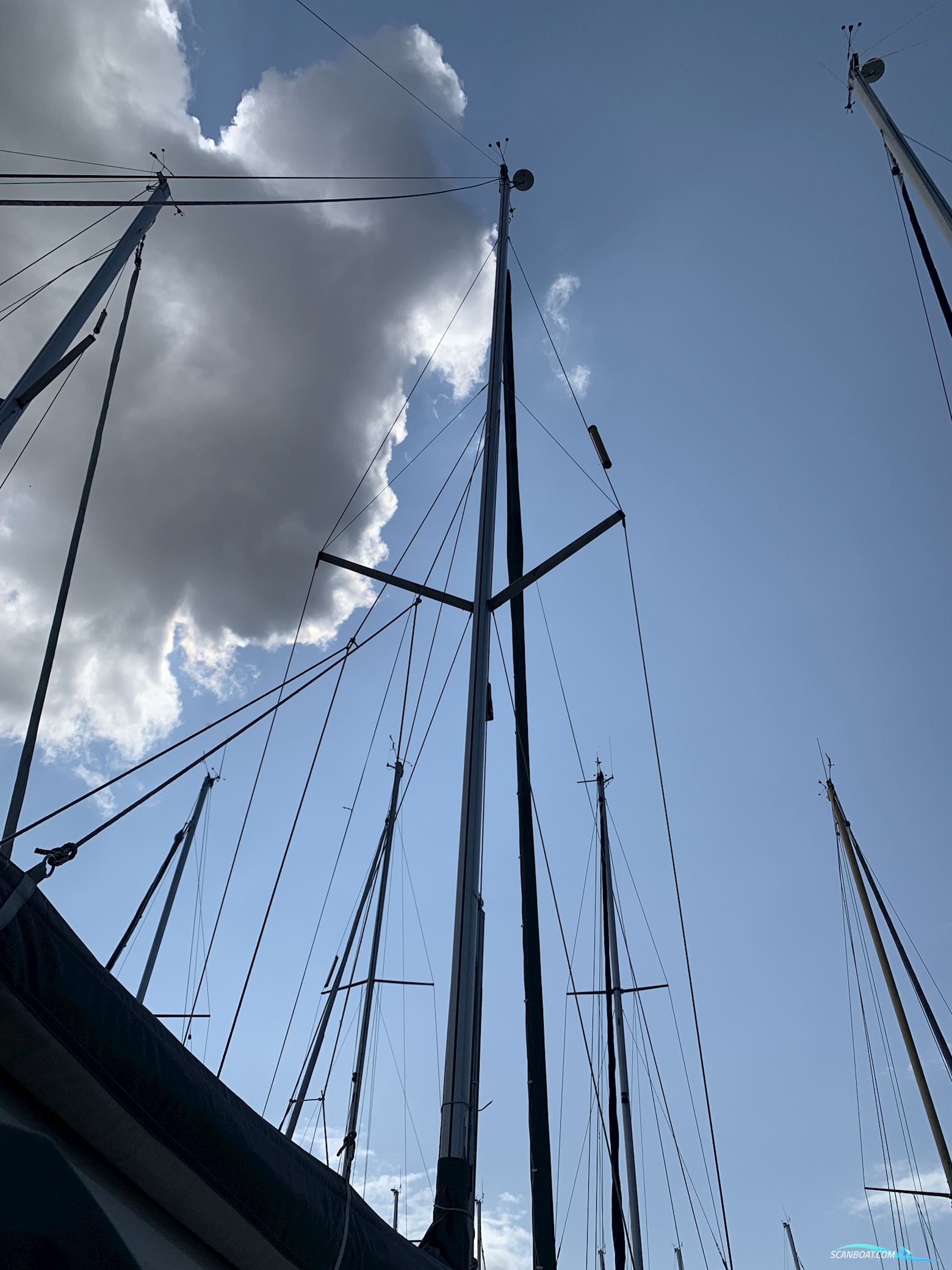 Bavaria 31 Cruiser Limited Edition