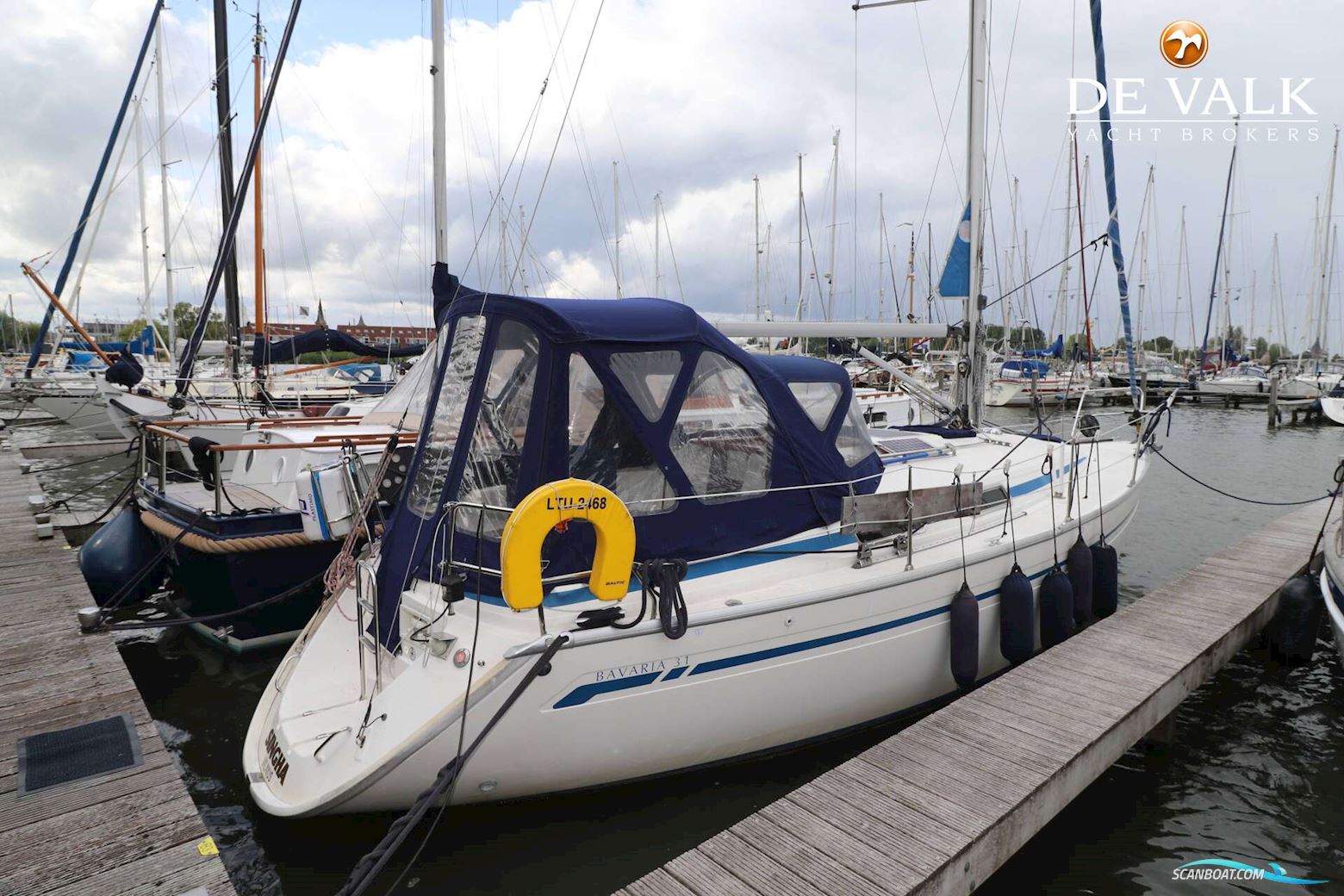 Bavaria 31