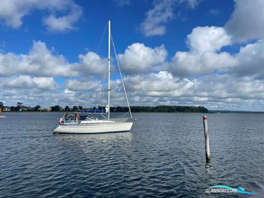 Bavaria 340 Caribic Zeilboten 1990, met Volvo Penta MD2003 motor, Denemarken