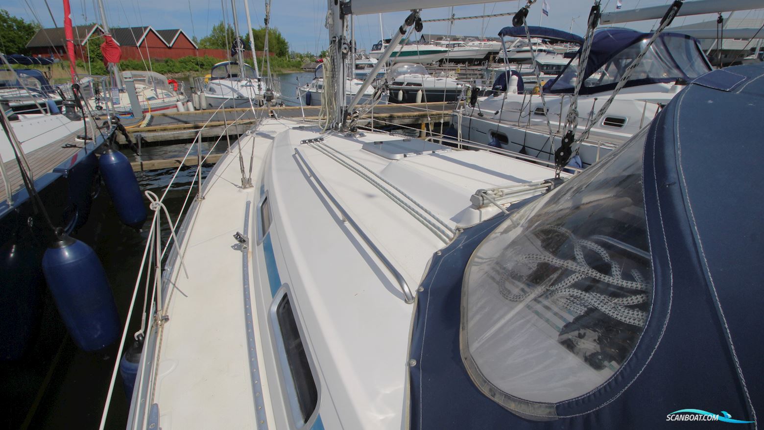 Bavaria 36-3