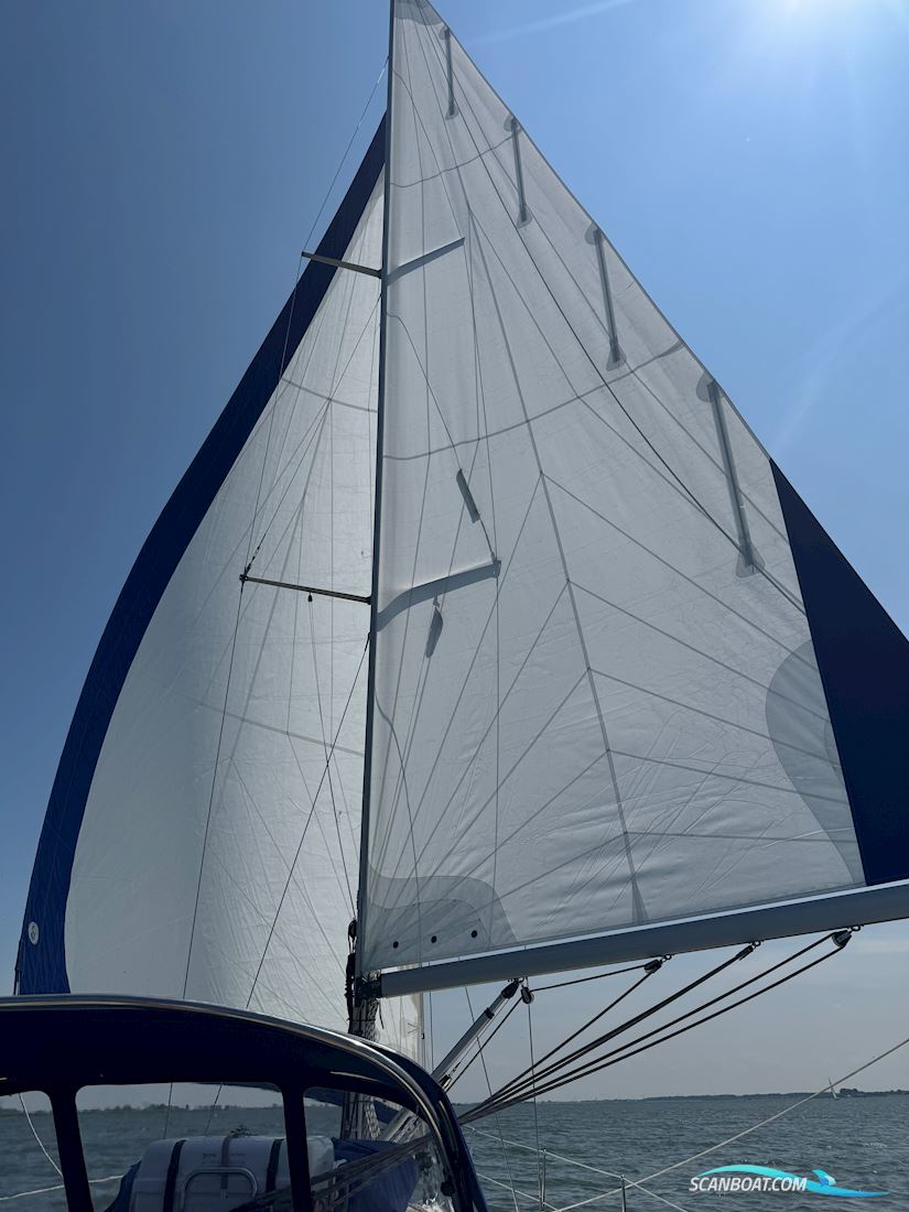 Bavaria 37