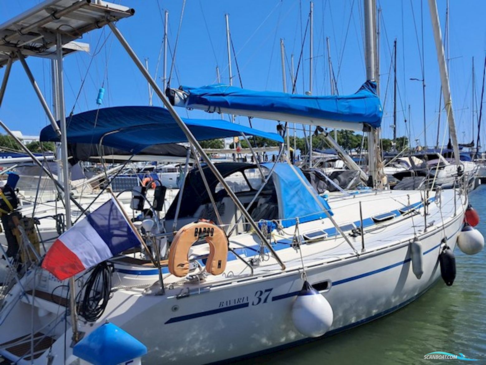Bavaria 37
