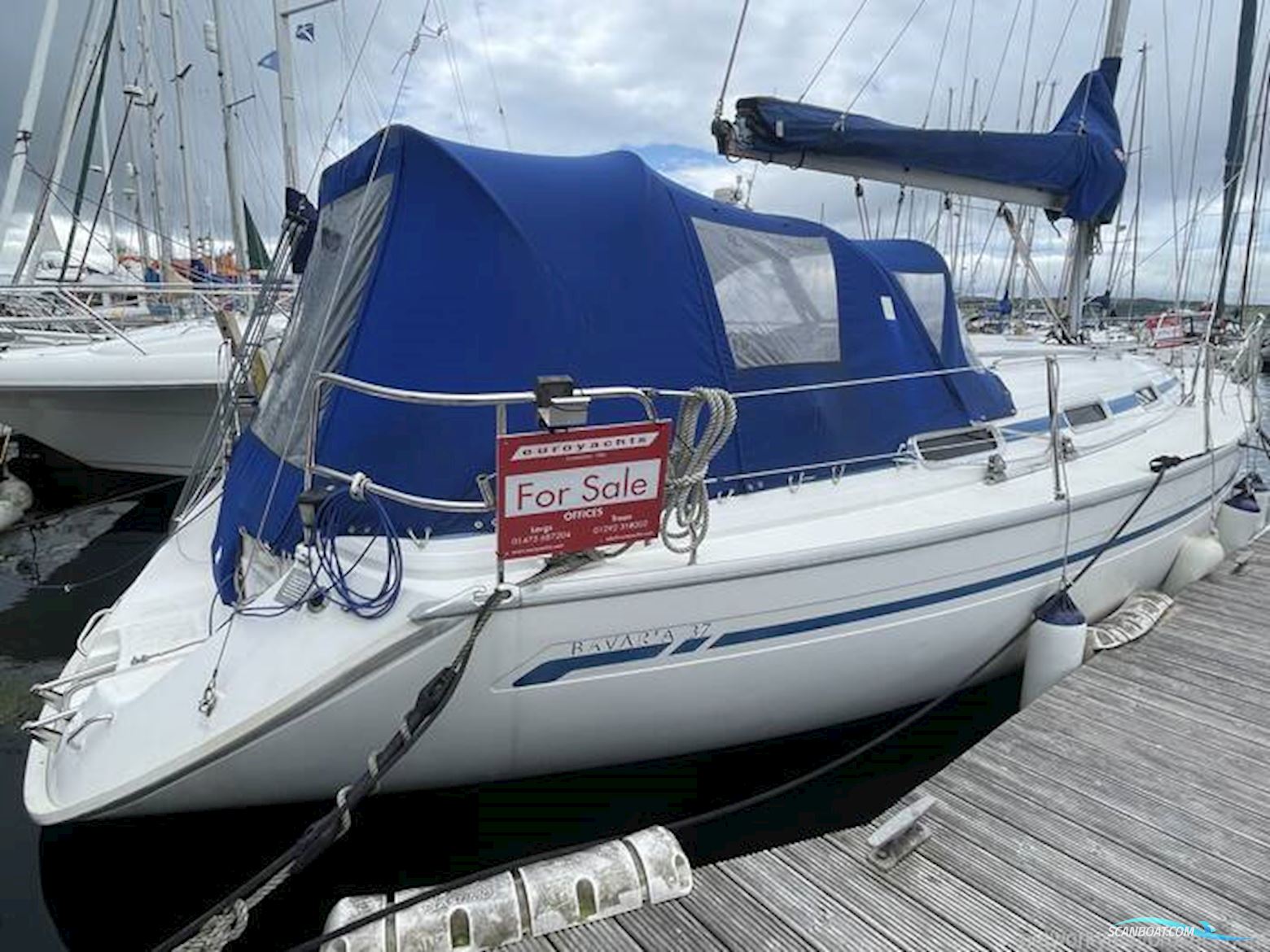 Bavaria 37
