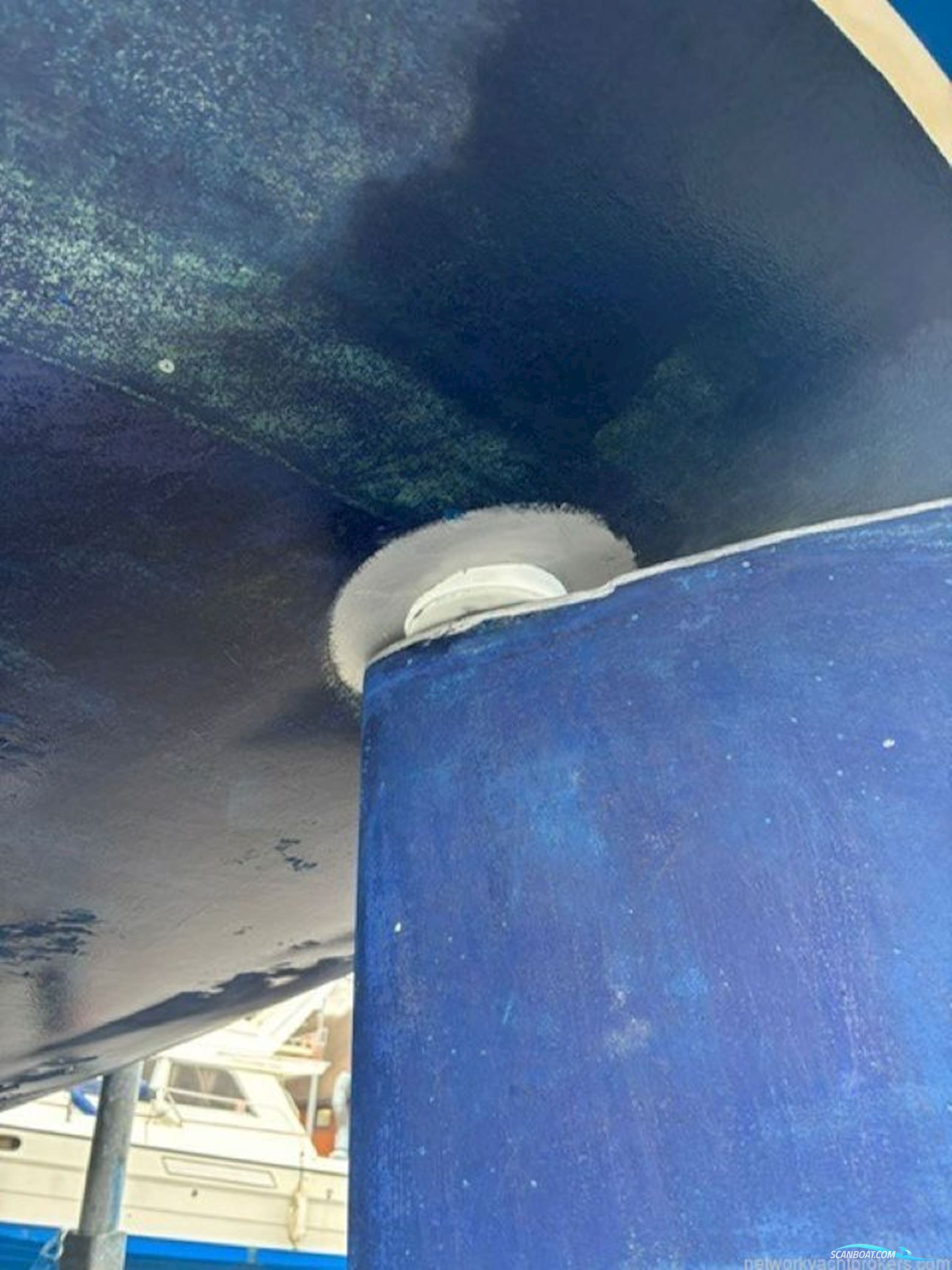 Bavaria 38 Exclusive