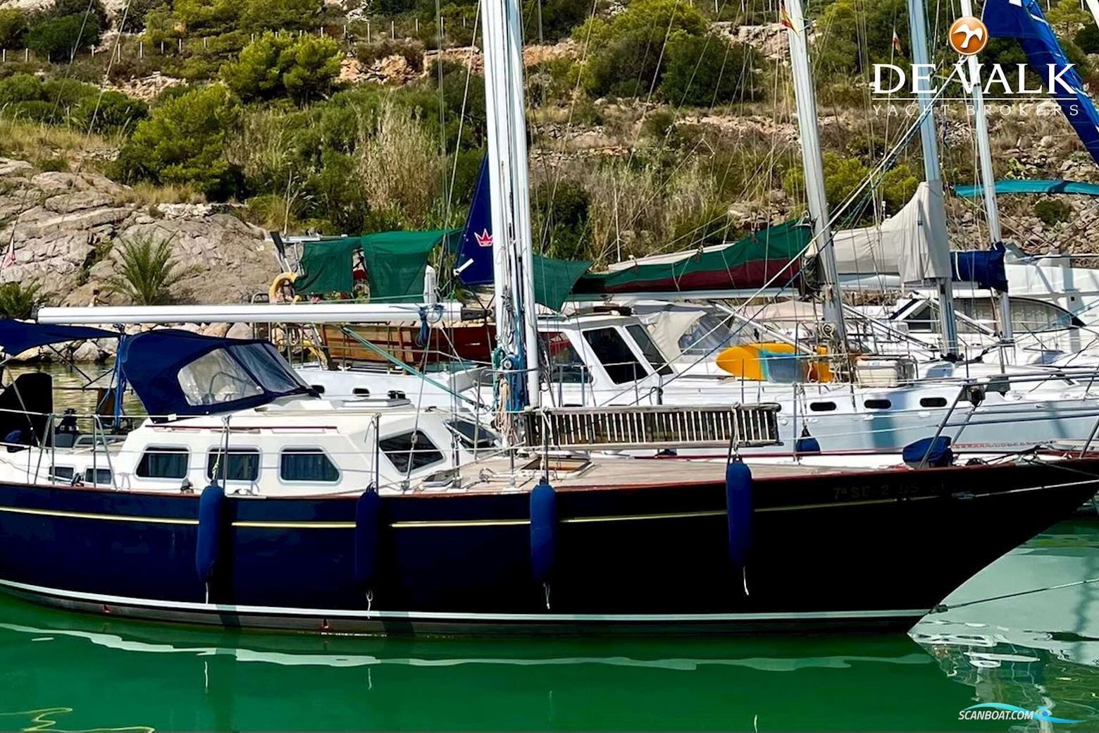 Belliure 41
