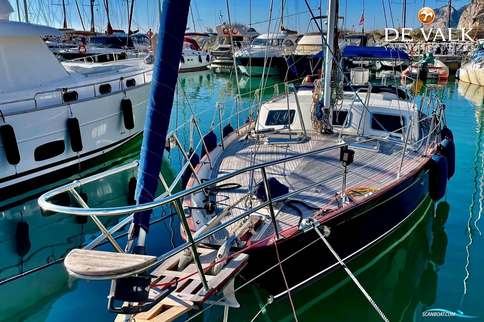 Belliure 41