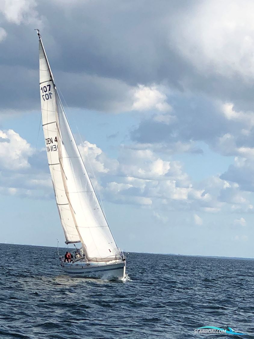 Bianca 107 Mk ll Zeilboten 1987, met Yanmar 3ym30 motor, Denemarken