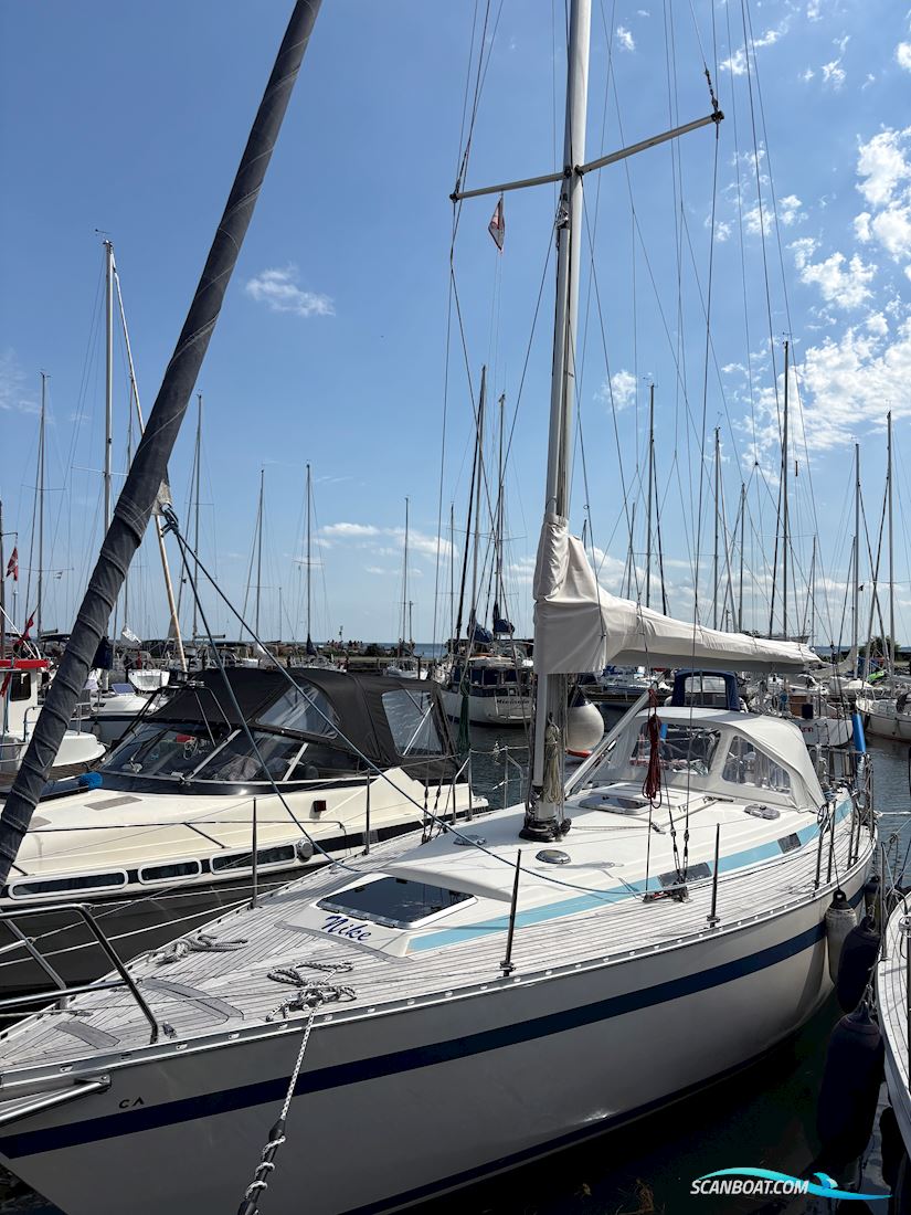 Bianca 107