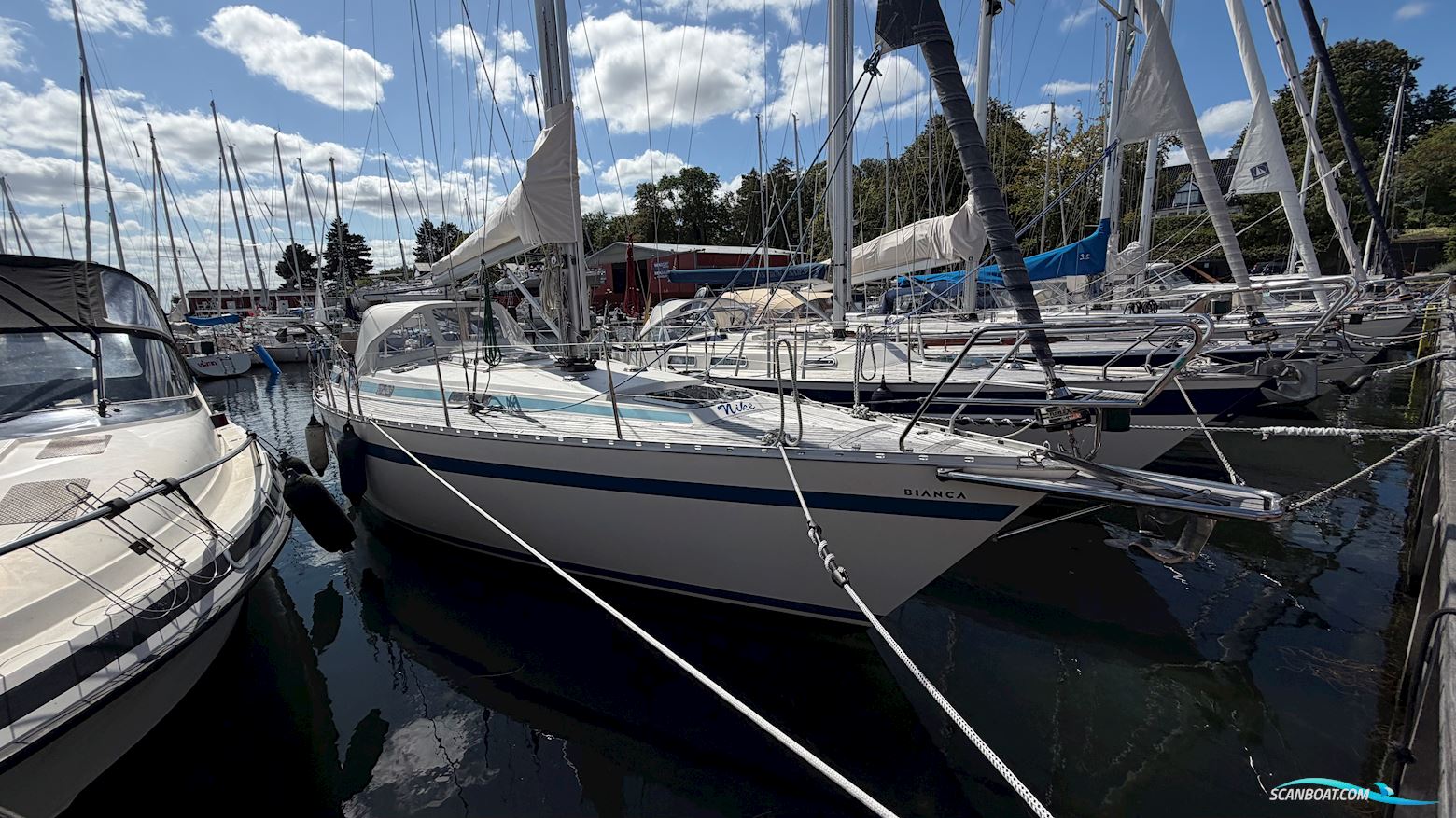 Bianca 107