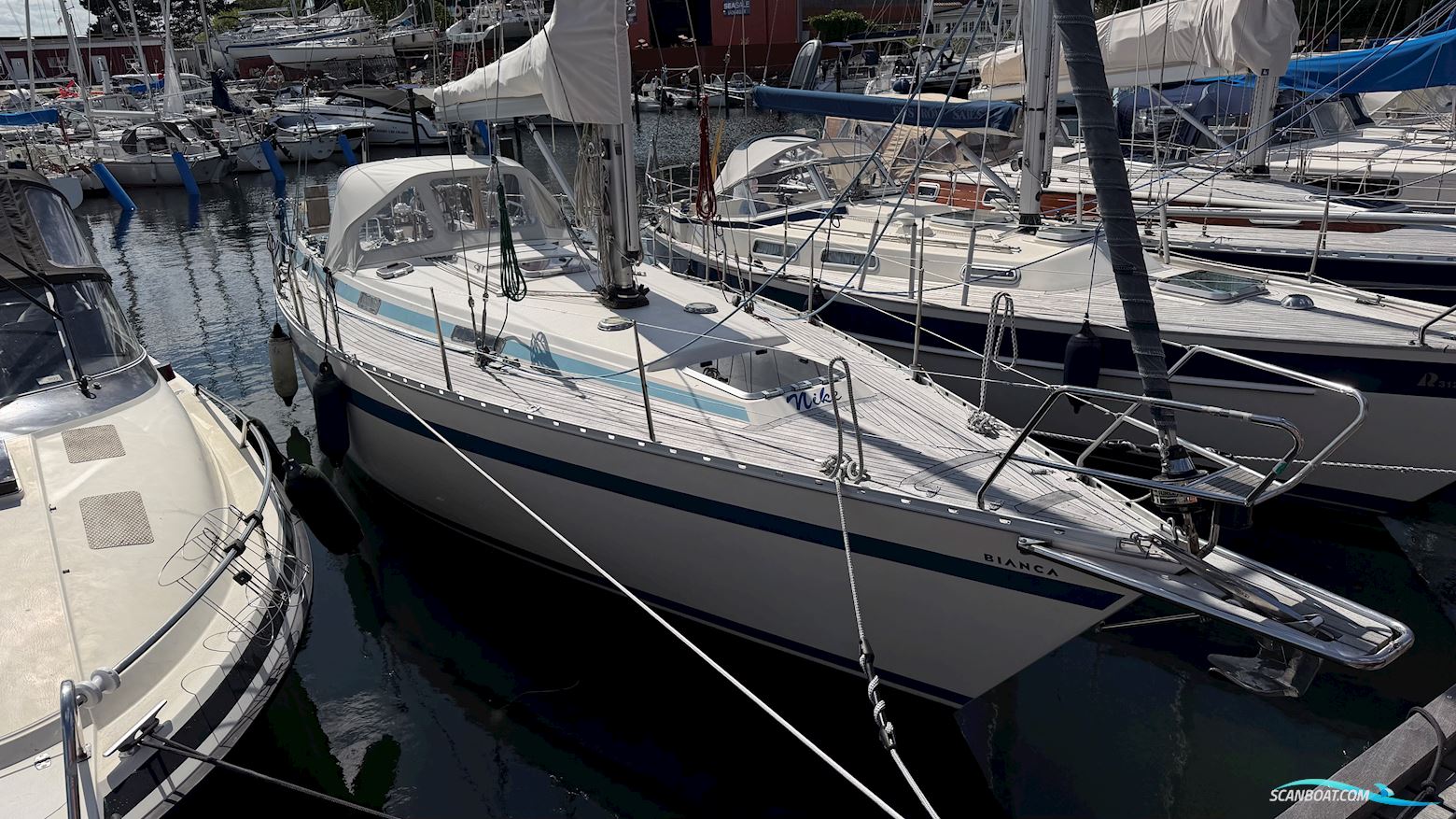 Bianca 107