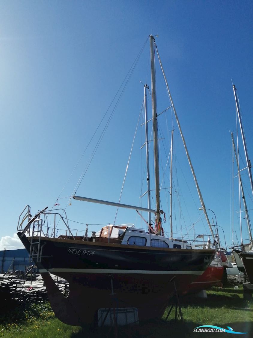 Bianca 27