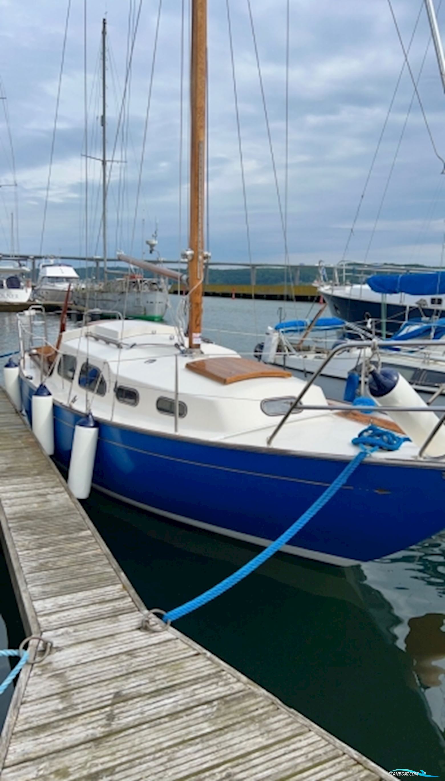 Bianca 27 Sejlbåd Zeilboten 1967, met Volvo Penta motor, Denemarken