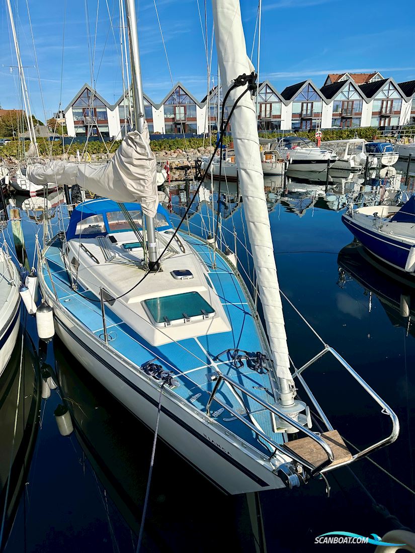 Bianca 320