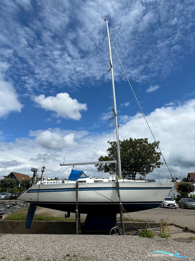 Bianca 320