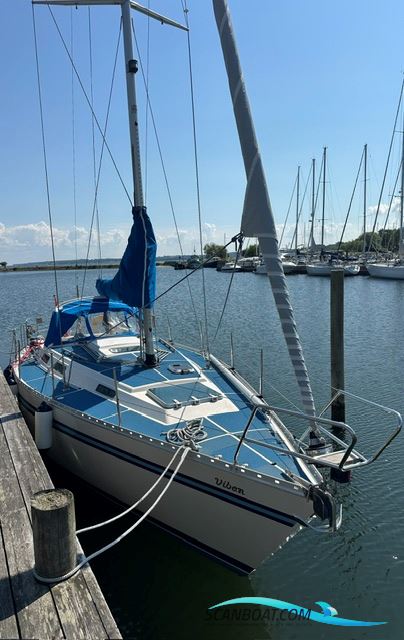 Bianca 320