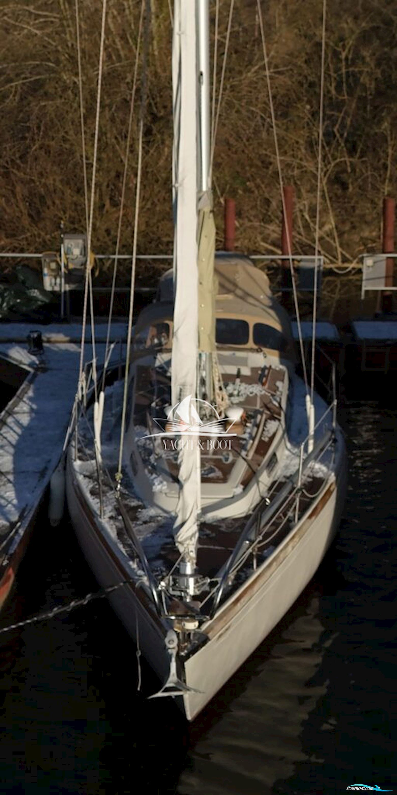 Bianca Commander 31