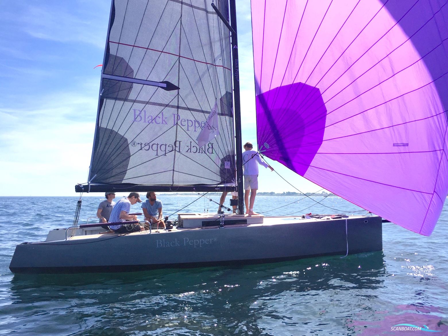 Black Pepper Code # daysailer