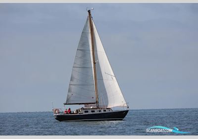 Blauwvoet Custom Steel 10 Meter Zeilboten 1969, met Bukh motor, The Netherlands