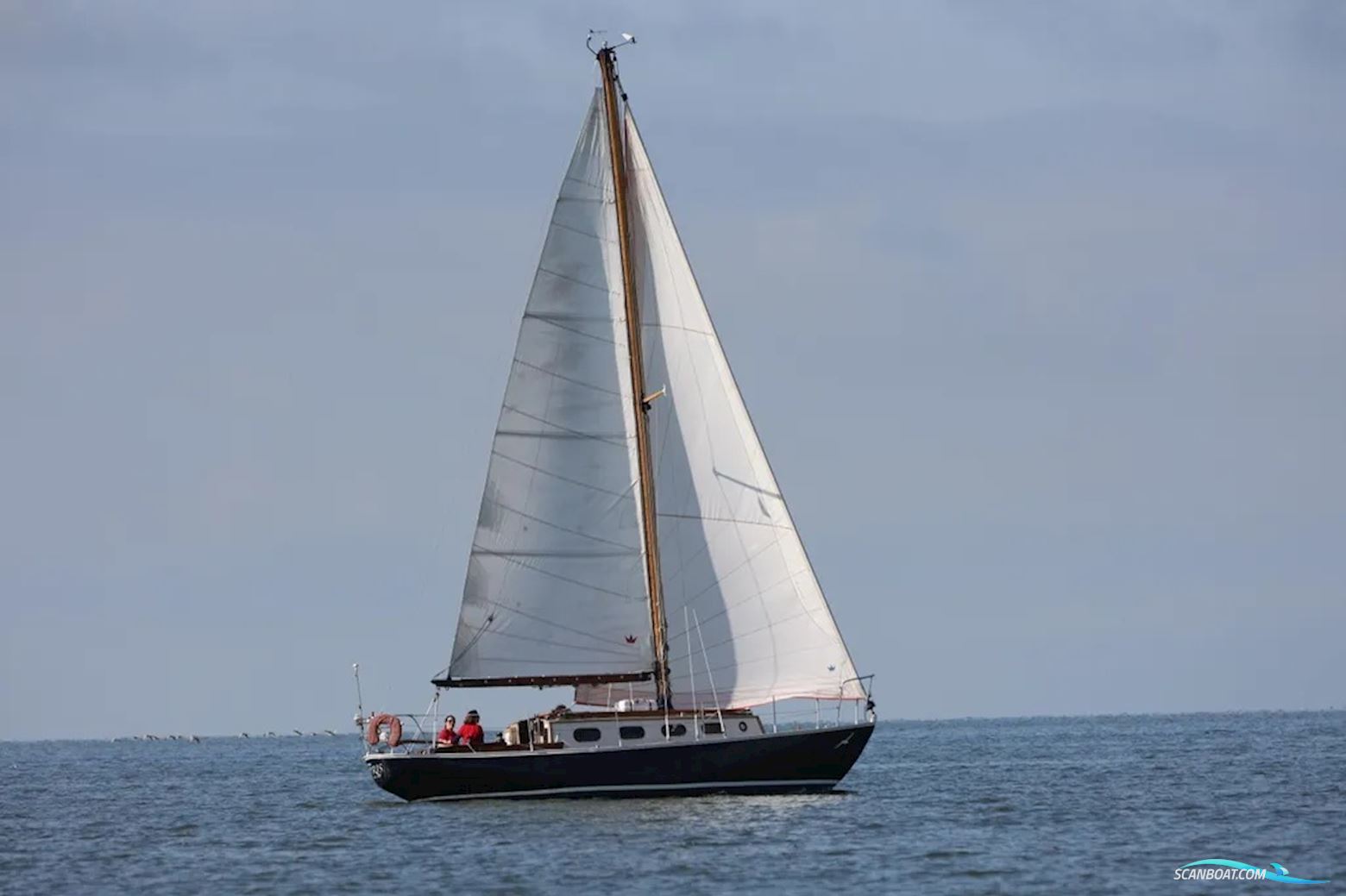 Blauwvoet Custom Steel 10 Meter Zeilboten 1969, met Bukh motor, The Netherlands