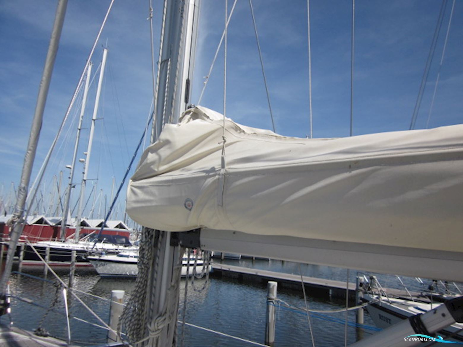 C-Yacht C1100