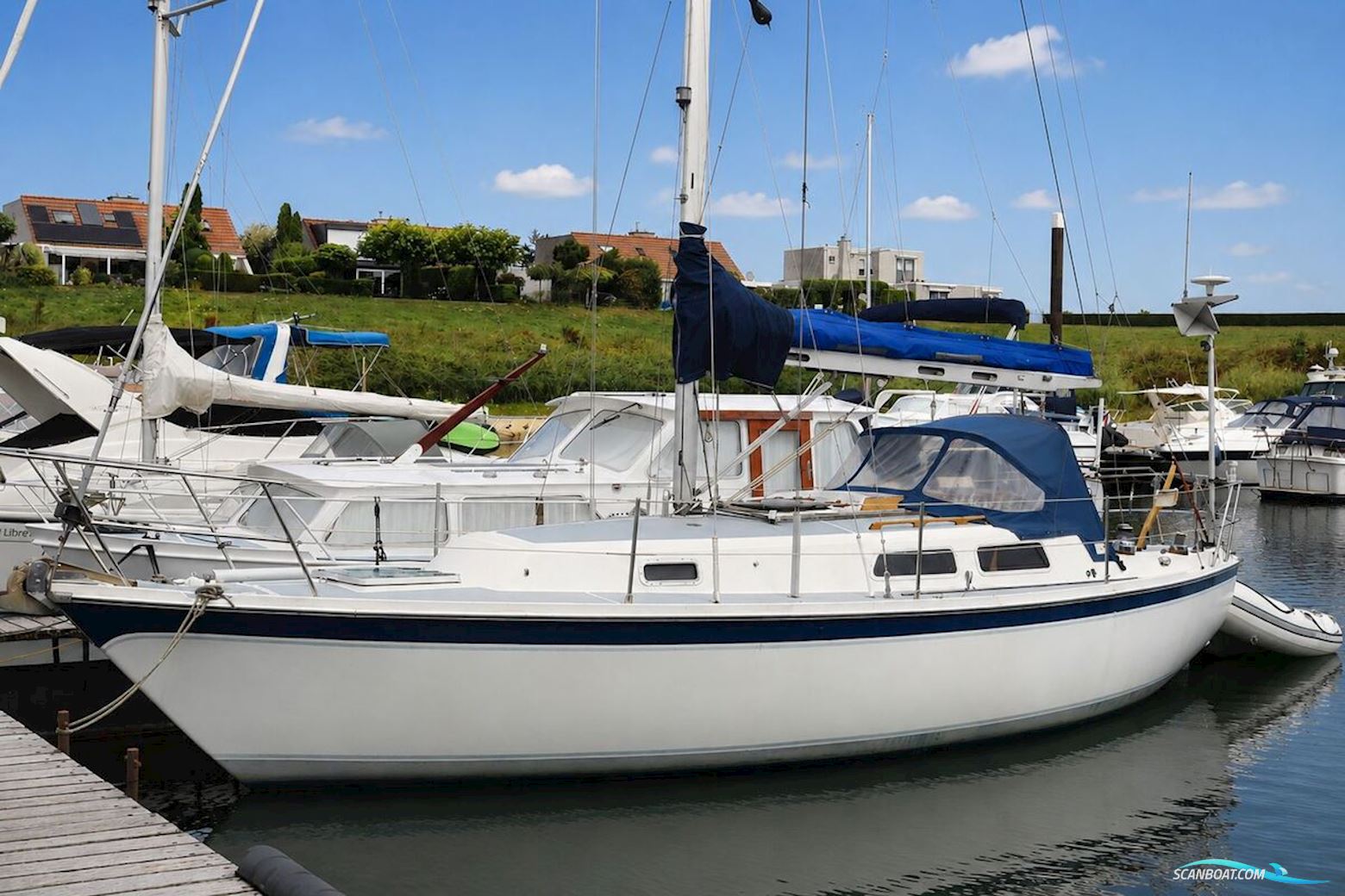 Cal 31