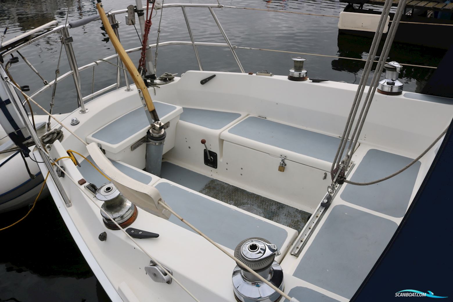 Cal 31