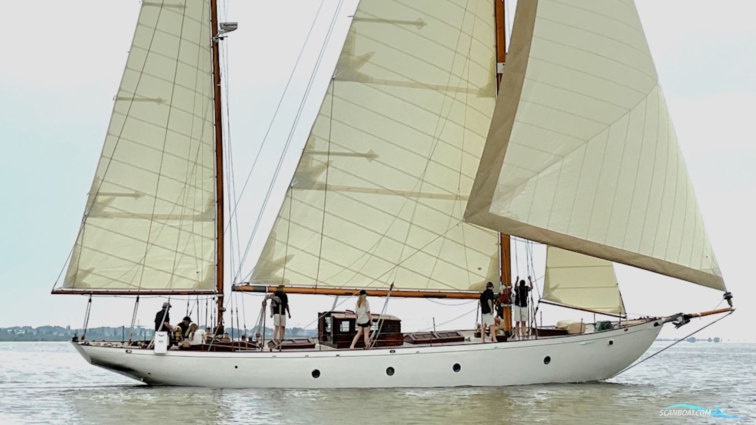 Cantiere Navale Postiglinio San Domenico Zeilboten 1936, met Volvo Penta motor, The Netherlands