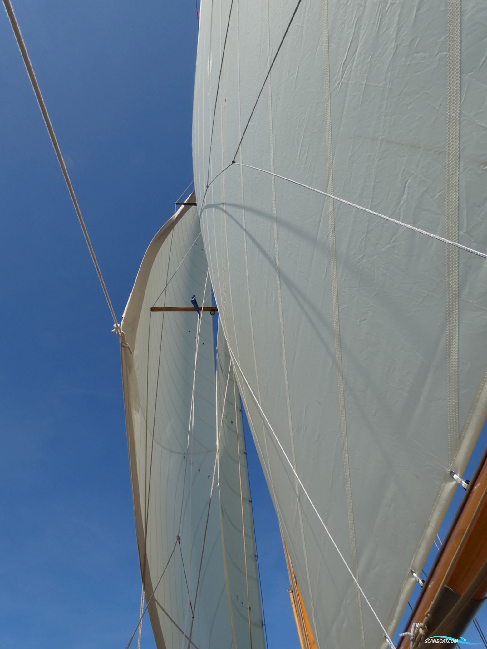 Cantiere Navale Postiglinio San Domenico