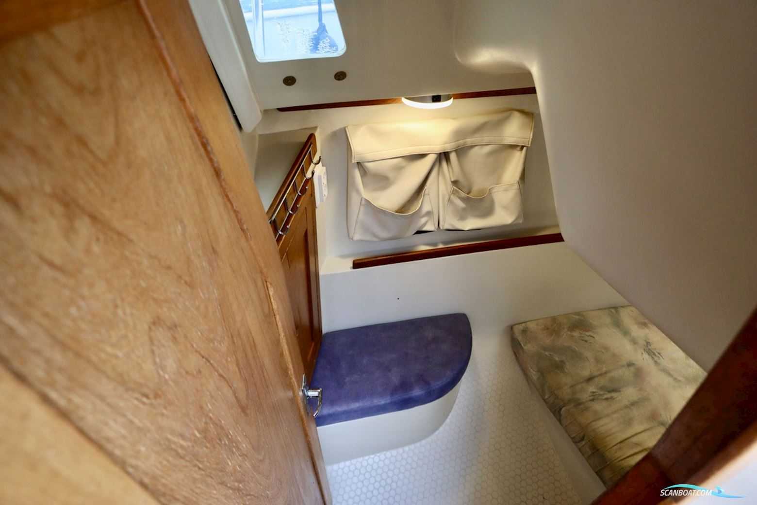 Catalina  270