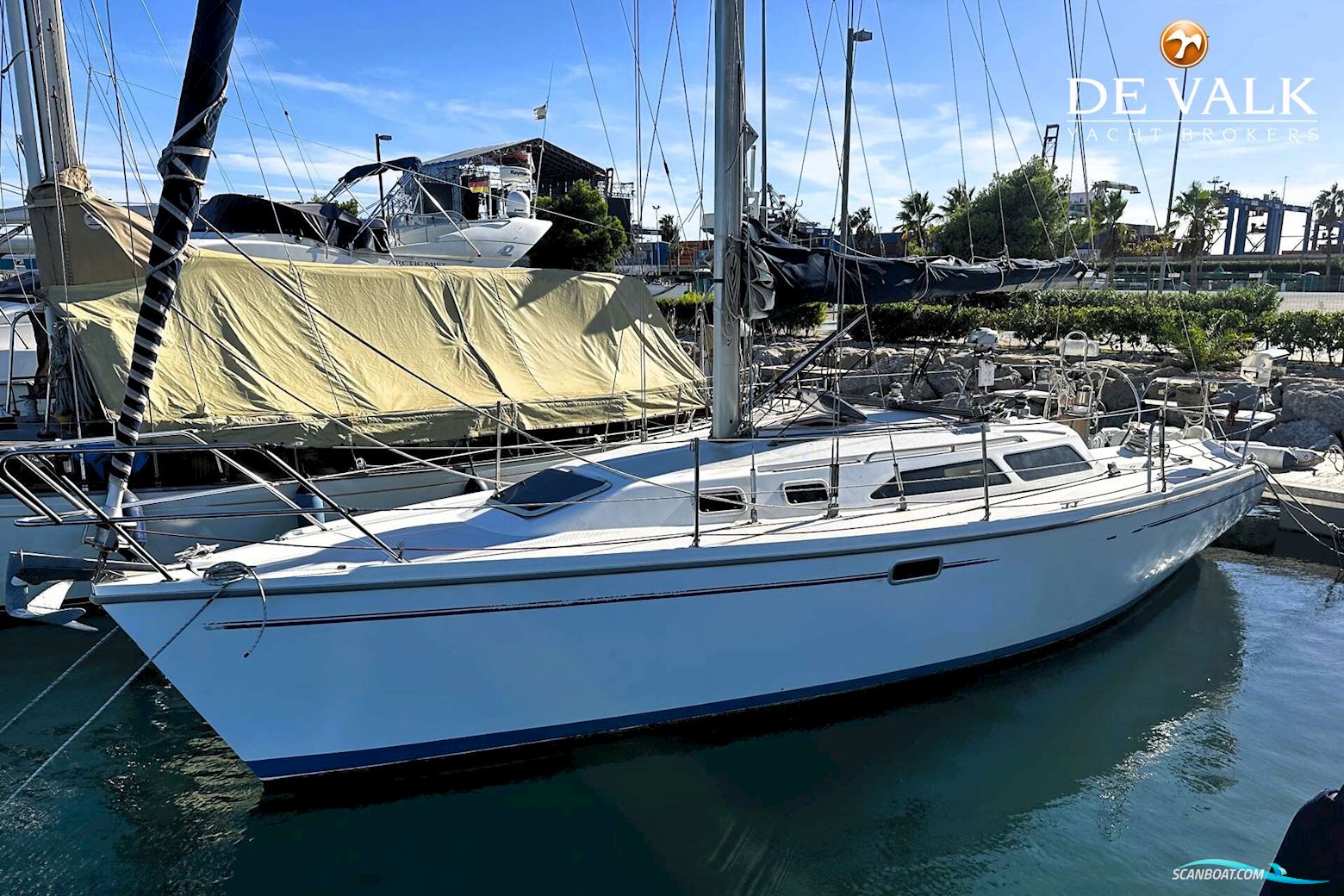 Catalina 320