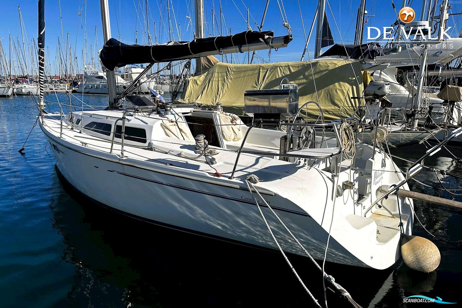 Catalina 320
