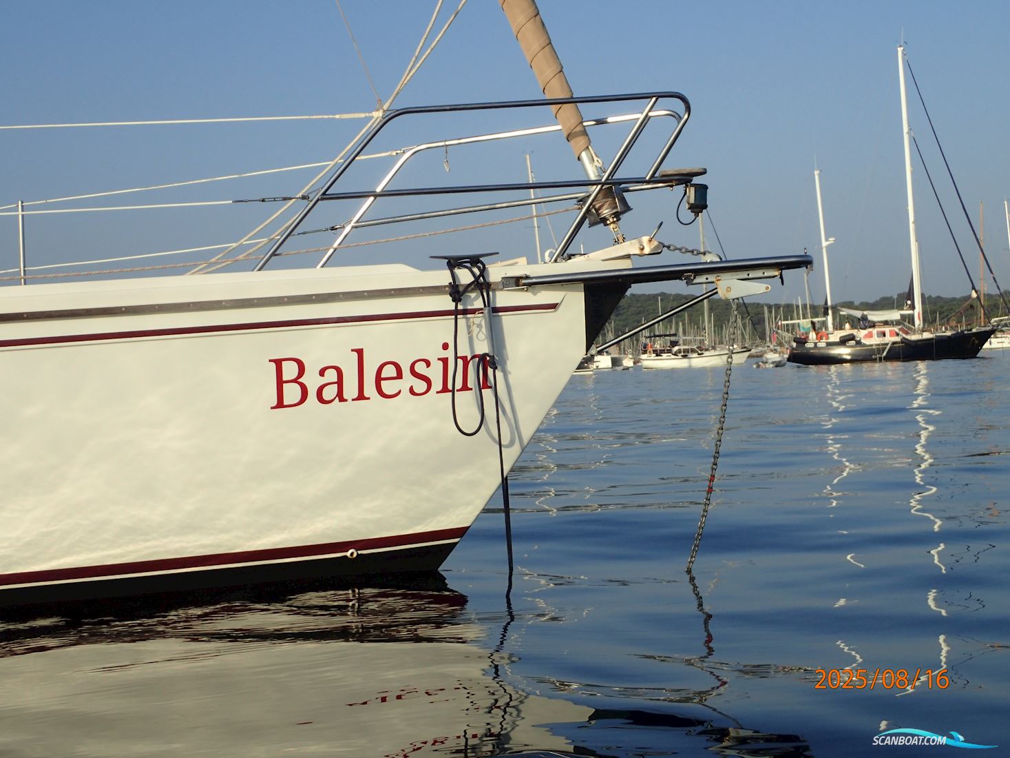 Catalina 36