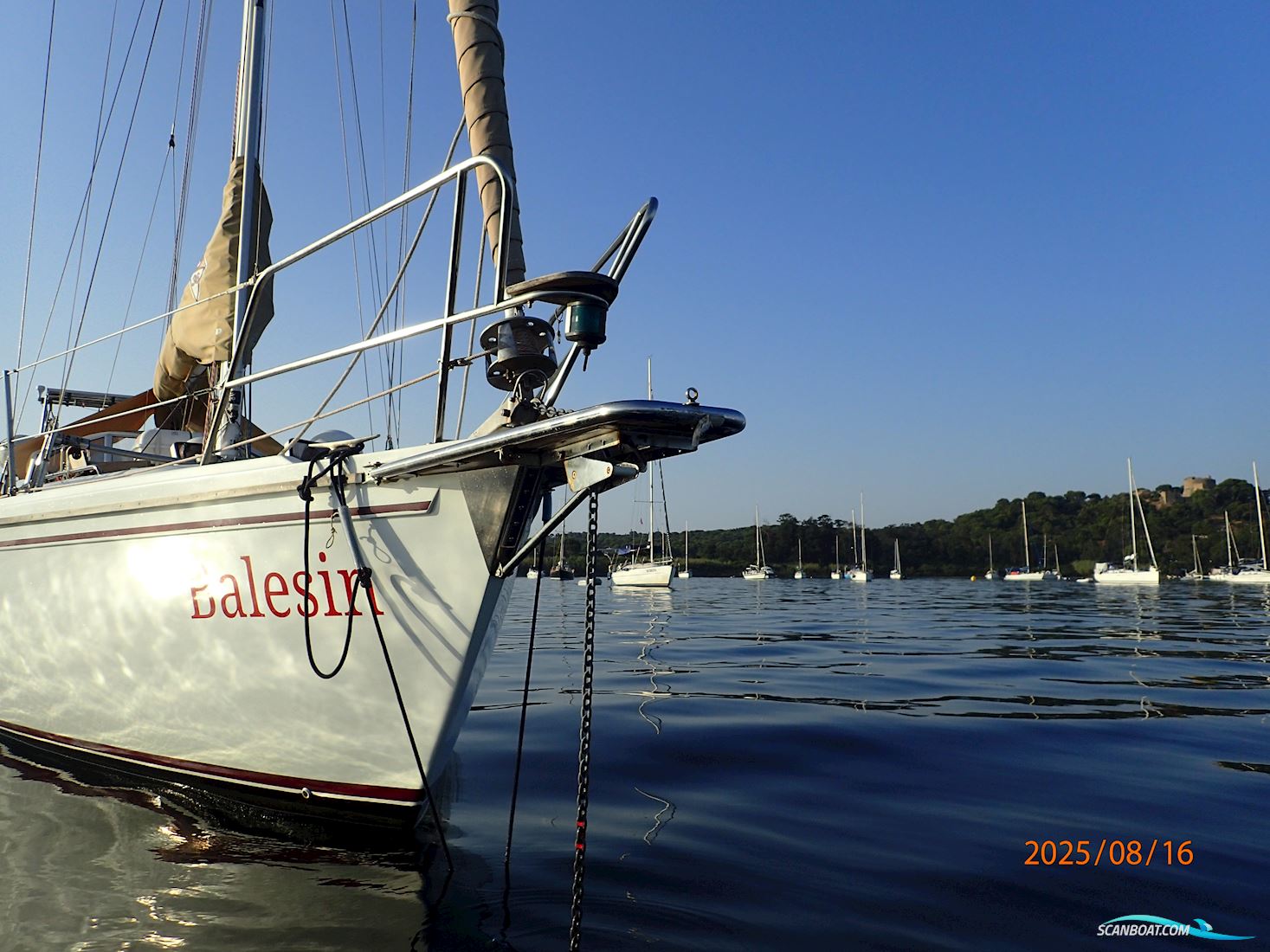 Catalina 36