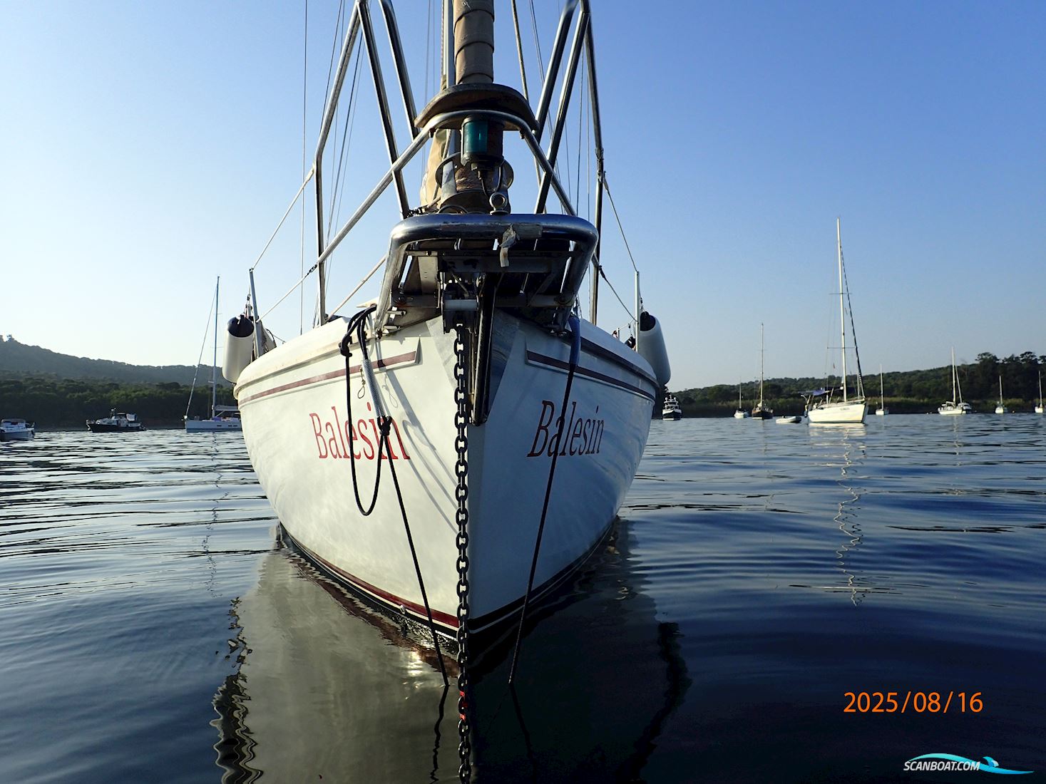 Catalina 36