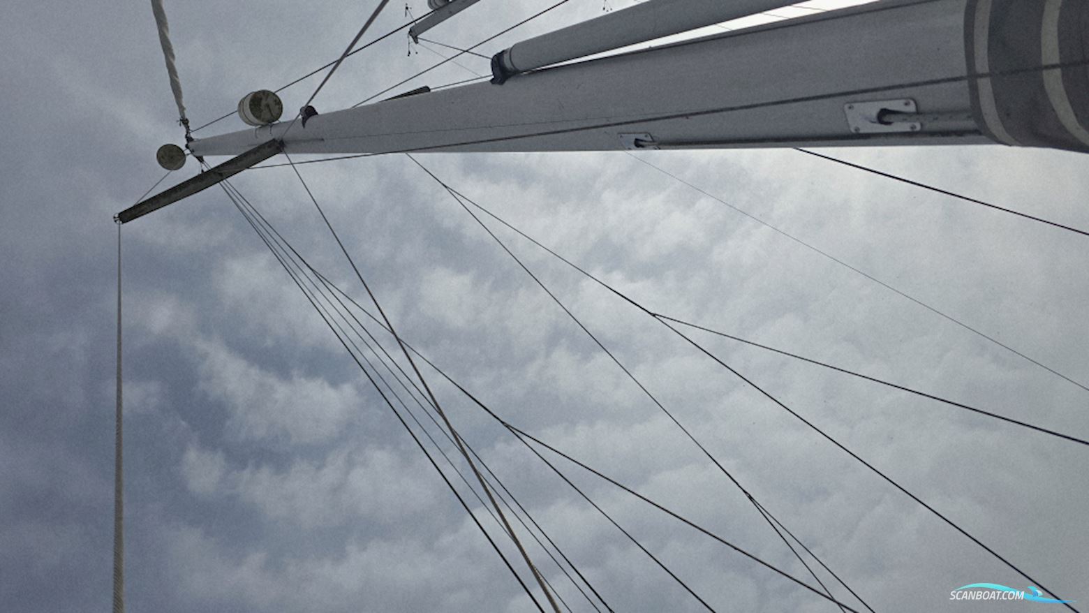 Catalina 36