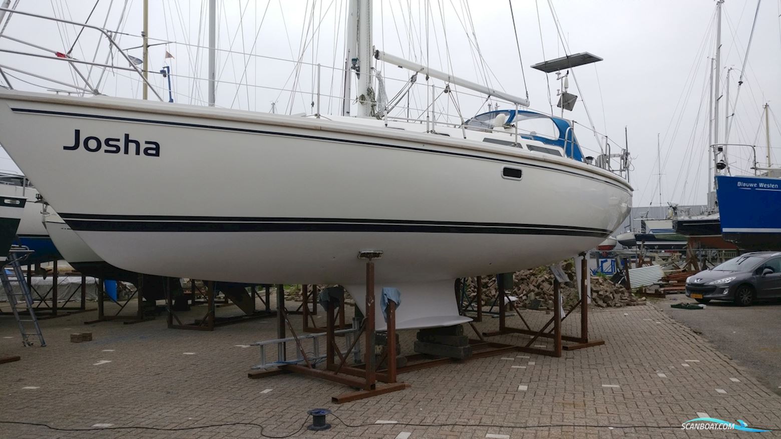 Catalina 36