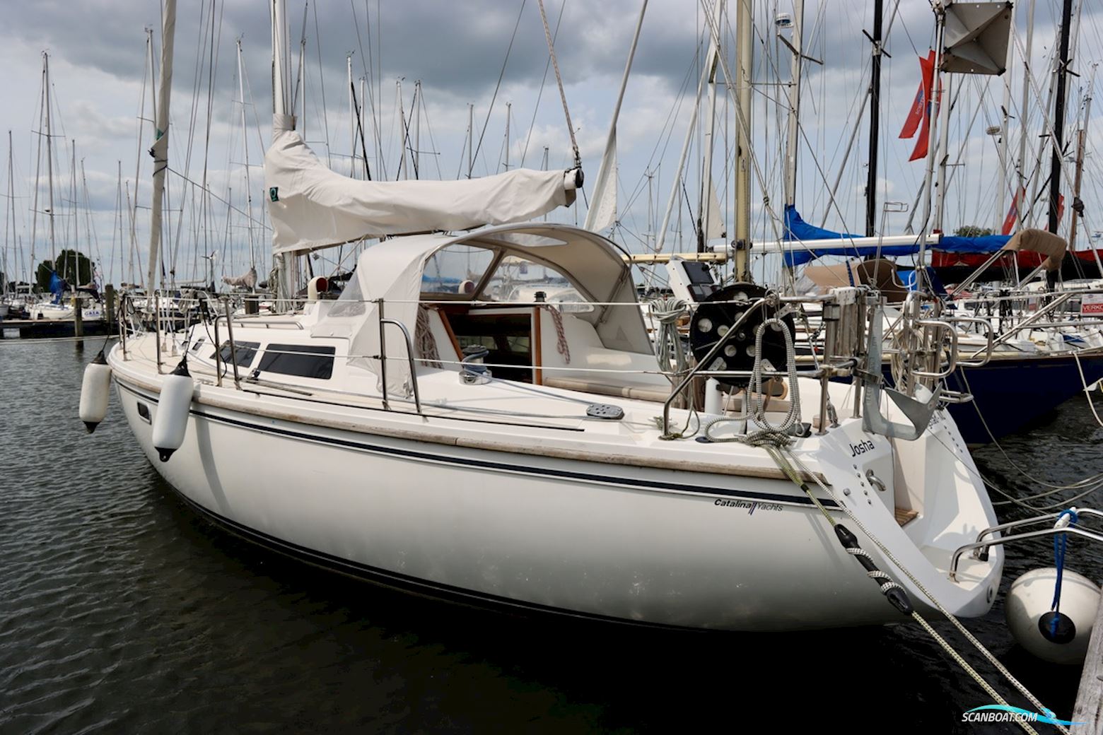 Catalina 36