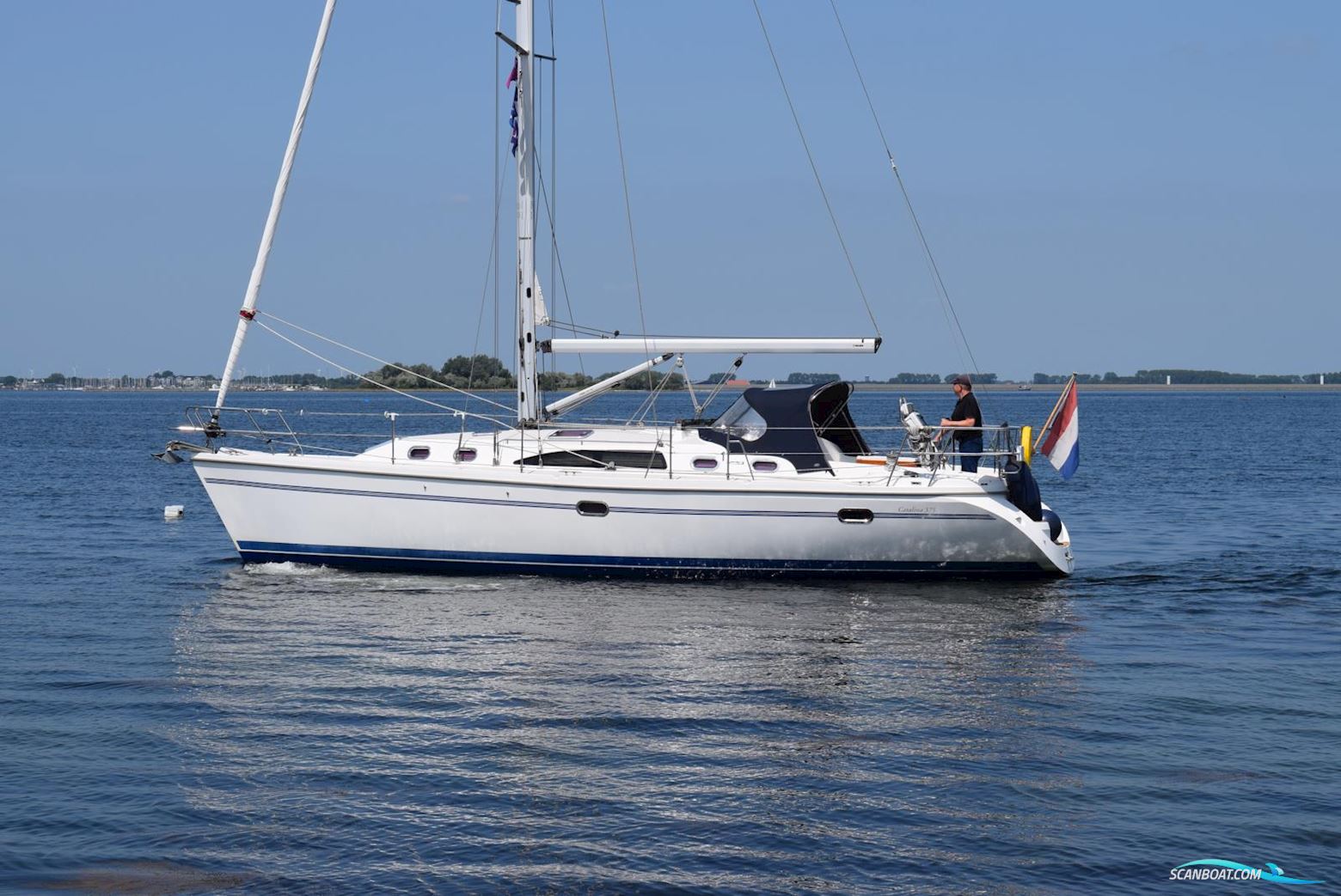 Catalina 375