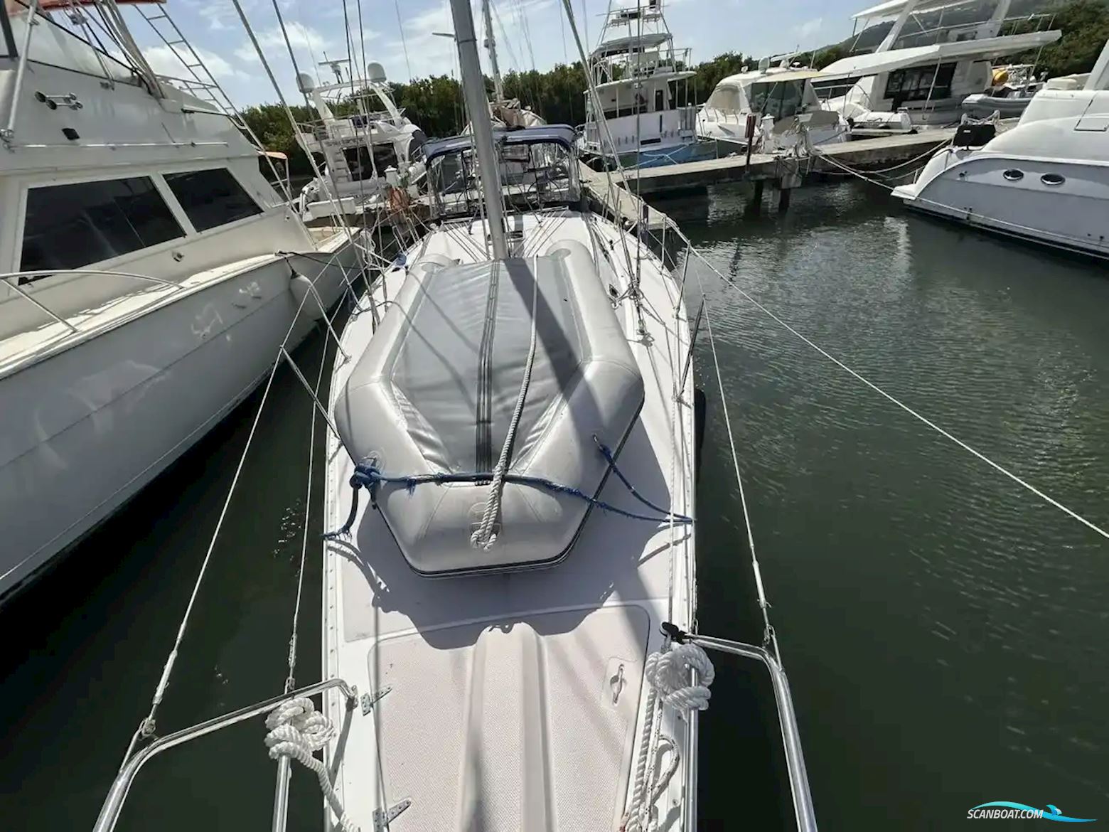 Catalina Morgan 44