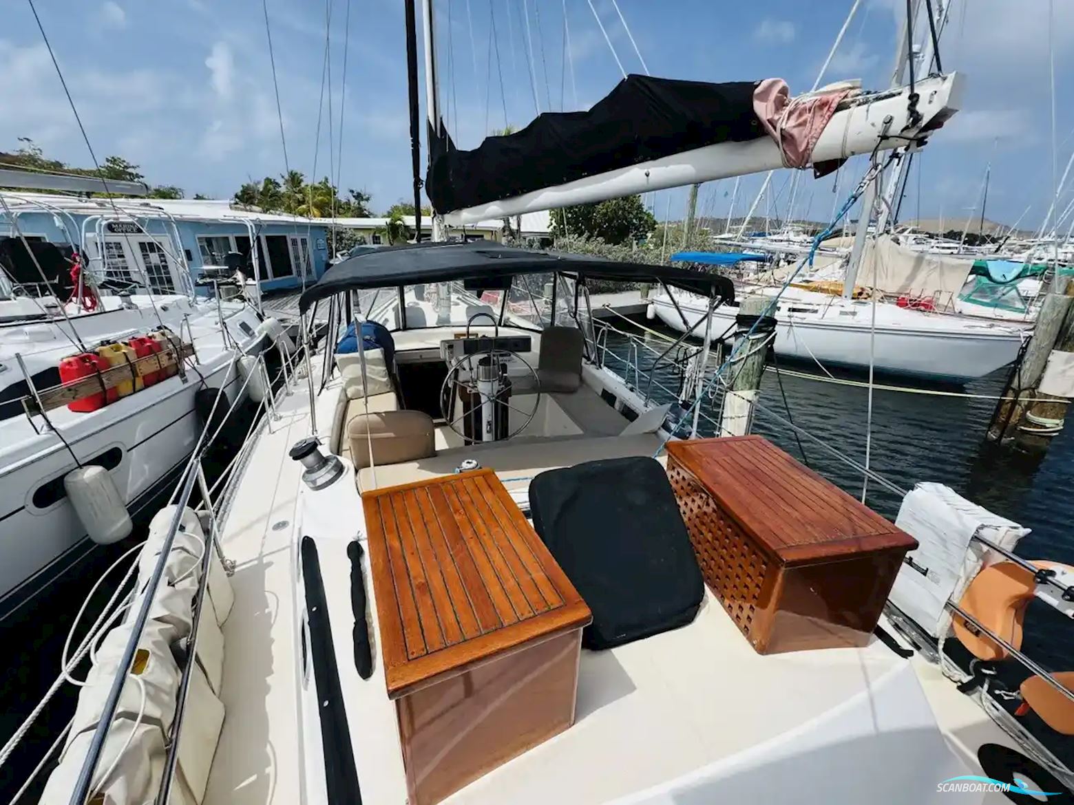 Catalina Out Island Classic 41