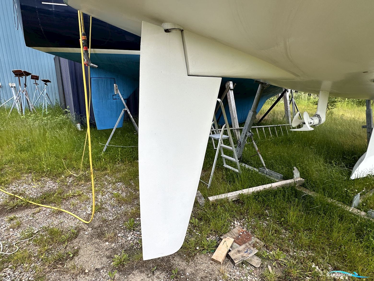 Celeste 36