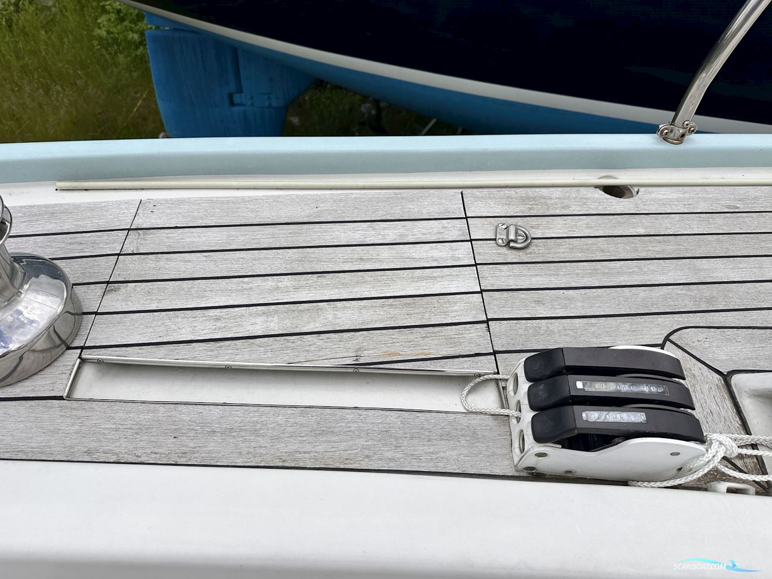 Celeste 36