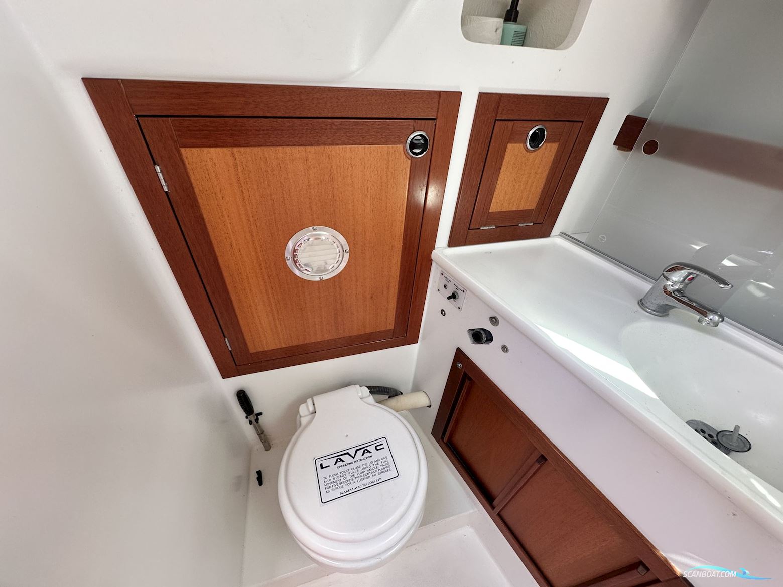 Celeste 36