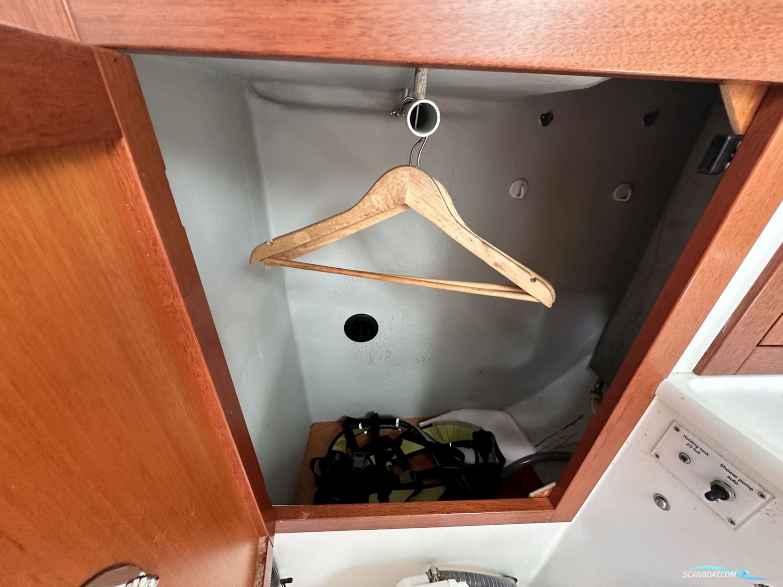 Celeste 36