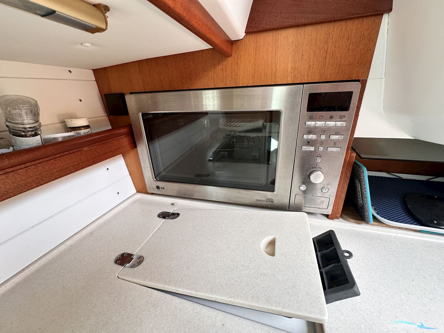Celeste 36