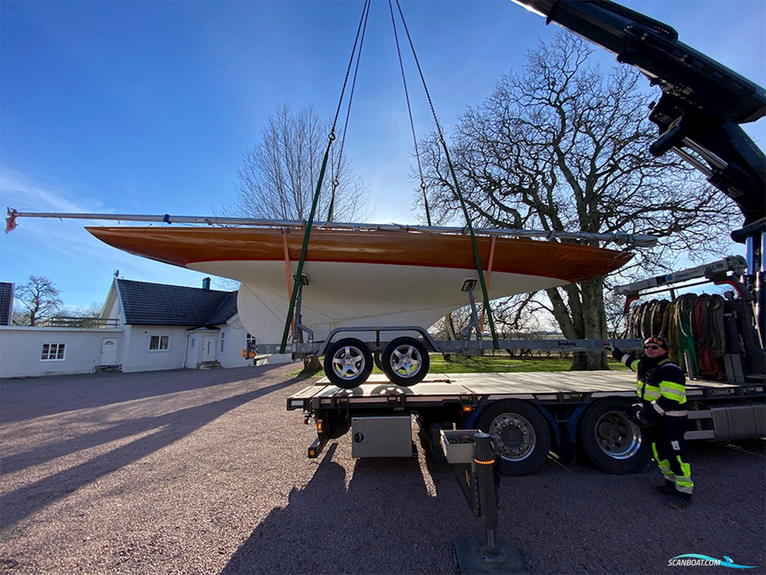 Classic International Dragon