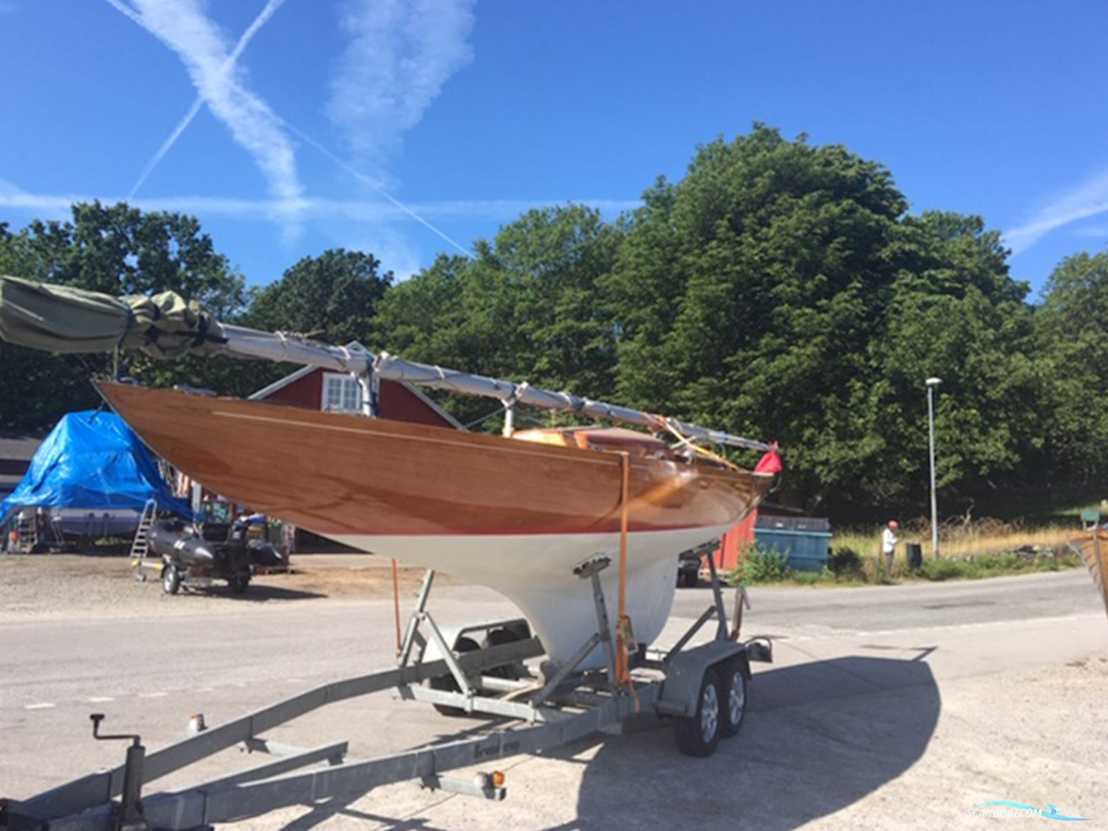 Classic International Dragon