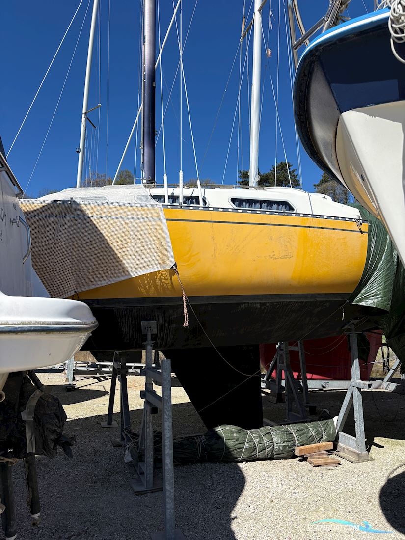 Colina 29